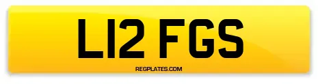 L12 FGS