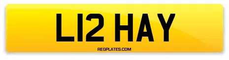 L12 HAY