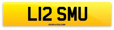 L12 SMU