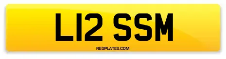 L12 SSM