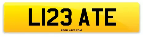 L123 ATE