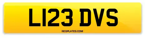 L123 DVS