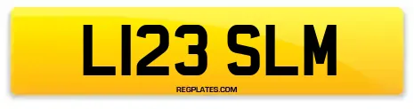 L123 SLM
