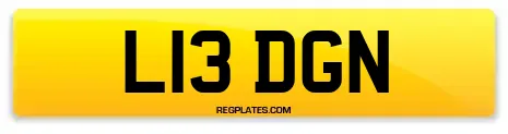 L13 DGN