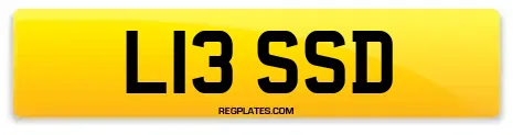 L13 SSD