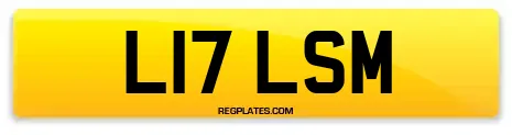 L17 LSM