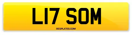 L17 SOM