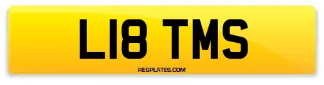 L18 TMS