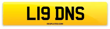 L19 DNS