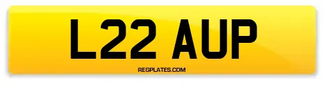 L22 AUP
