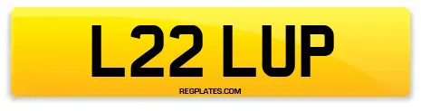 L22 LUP
