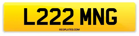 L222 MNG