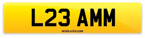 L23 AMM