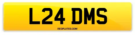 L24 DMS