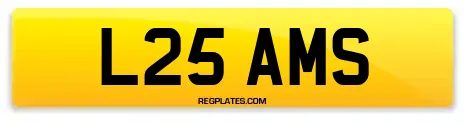 L25 AMS