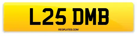 L25 DMB