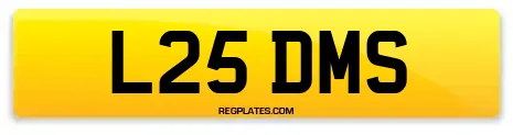 L25 DMS