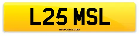 L25 MSL