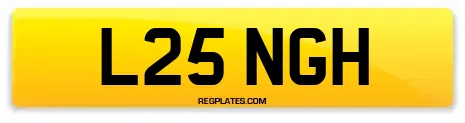 L25 NGH