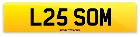 L25 SOM