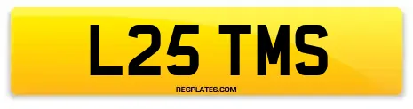 L25 TMS