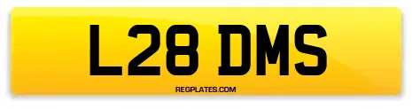L28 DMS