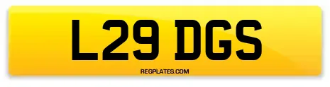 L29 DGS