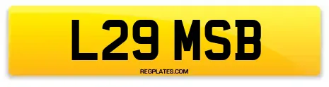 L29 MSB
