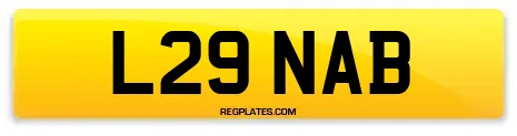L29 NAB