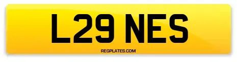 L29 NES