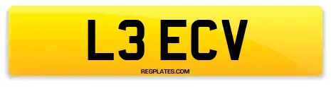 L3 ECV
