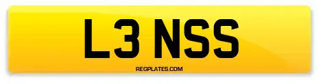 L3 NSS
