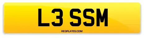 L3 SSM