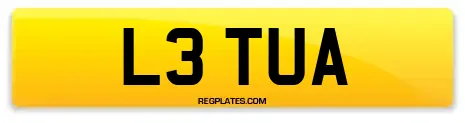 L3 TUA