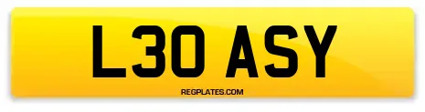 L30 ASY