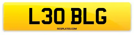 L30 BLG