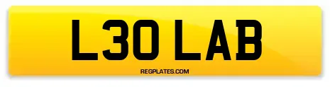 L30 LAB