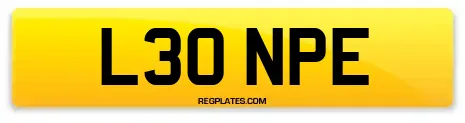 L30 NPE