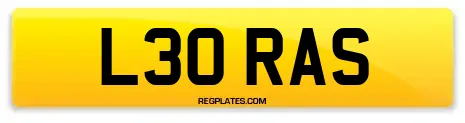 L30 RAS