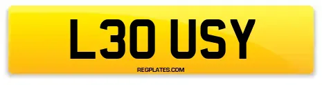 L30 USY
