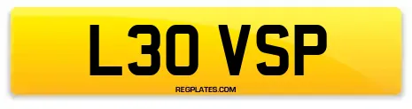 L30 VSP