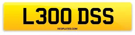 L300 DSS