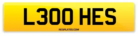 L300 HES