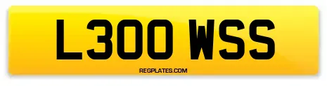 L300 WSS