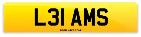 L31 AMS