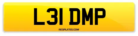 L31 DMP