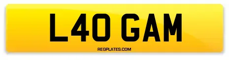 L40 GAM