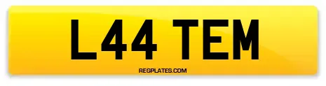 L44 TEM