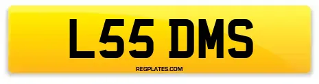L55 DMS