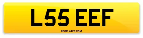 L55 EEF
